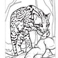 Great Amazon & Rainforest Coloring Book (with stickers)