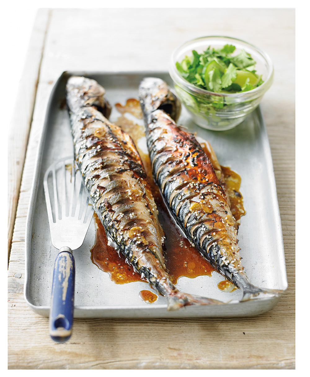 Billingsgate Market Fish & Shellfish Cookbook - Fox Chapel Publishing Co.