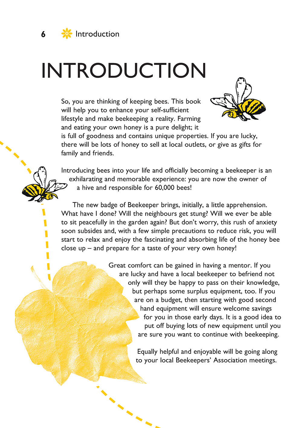 Self-Sufficiency: Beekeeping