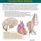 Complete Anatomy Coloring Book, Newly Revised and Updated Edition