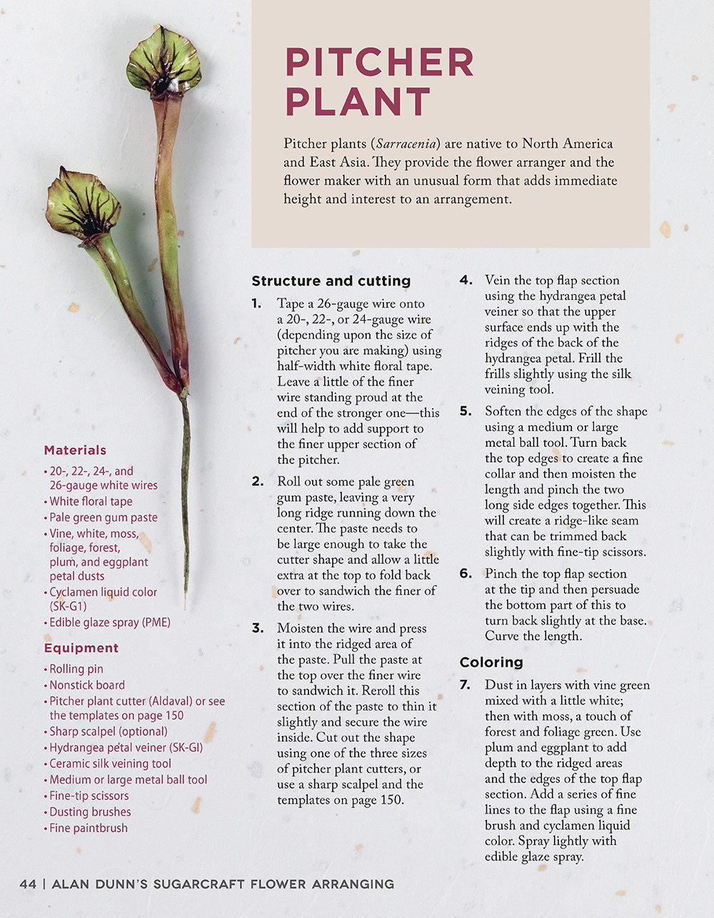 Alan Dunn's Sugarcraft Flower Arranging - Fox Chapel Publishing Co.