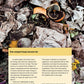 Organic Book of Compost, 2nd Revised Edition
