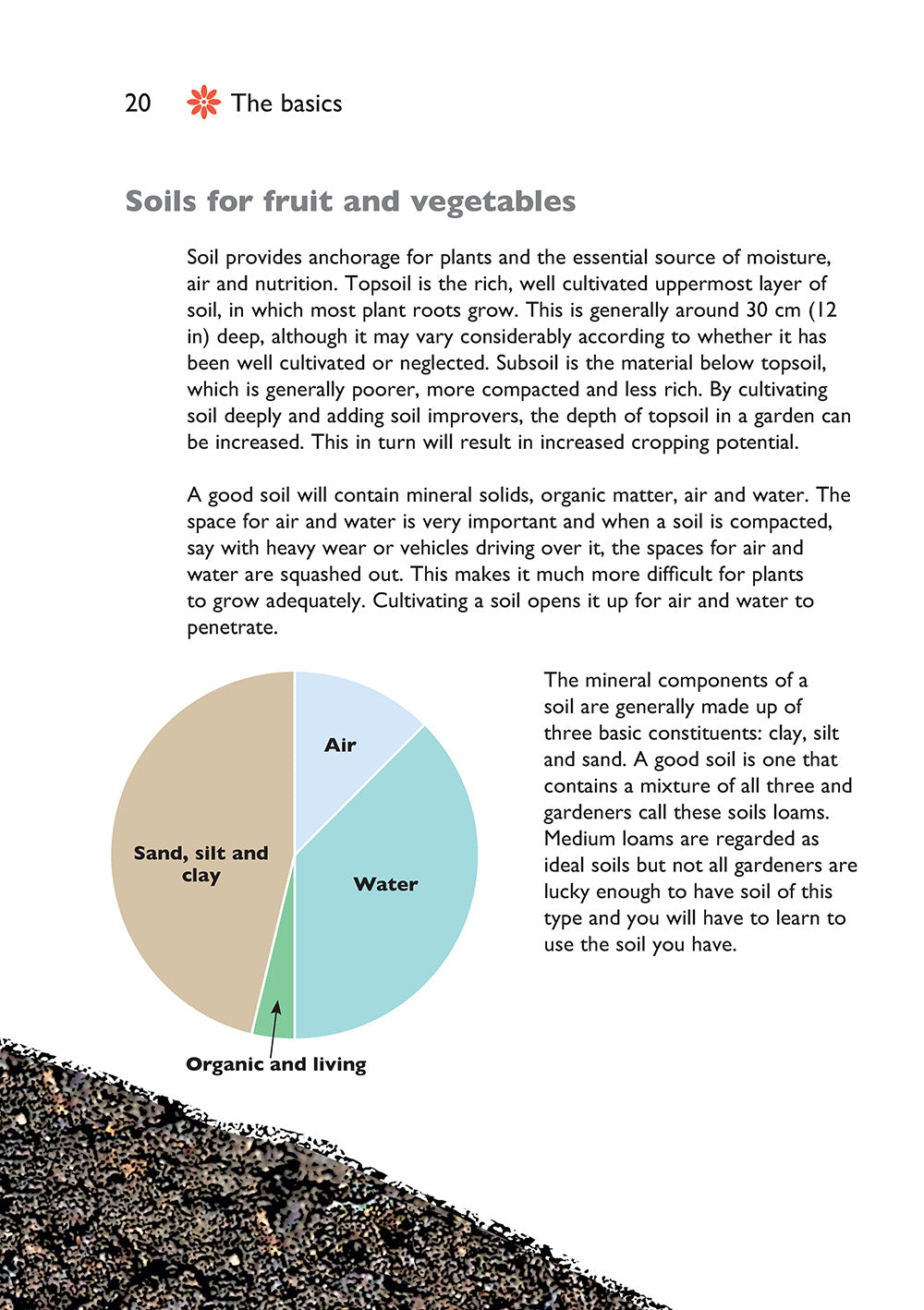 Self-Sufficiency: Grow Your Own