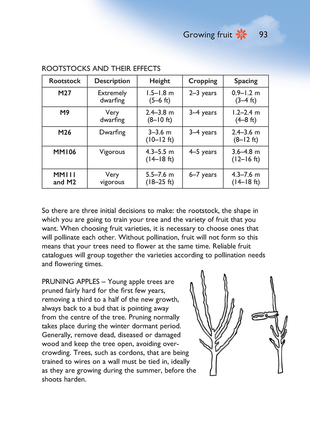 Self-Sufficiency: Grow Your Own