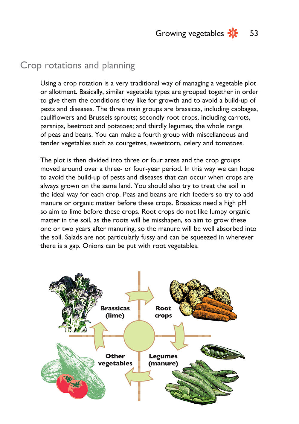 Self-Sufficiency: Grow Your Own