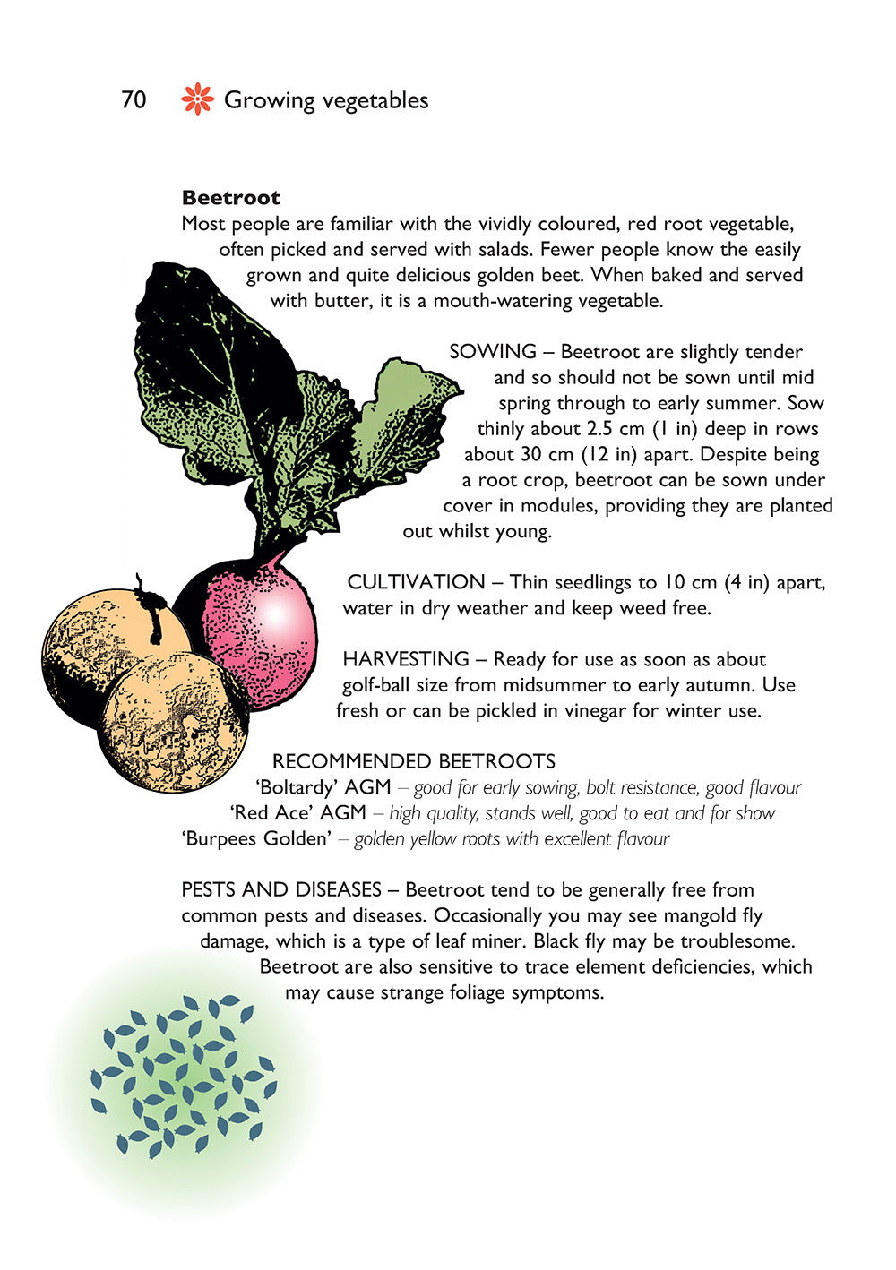 Self-Sufficiency: Grow Your Own