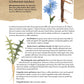 Guide to Wild Food Foraging, A