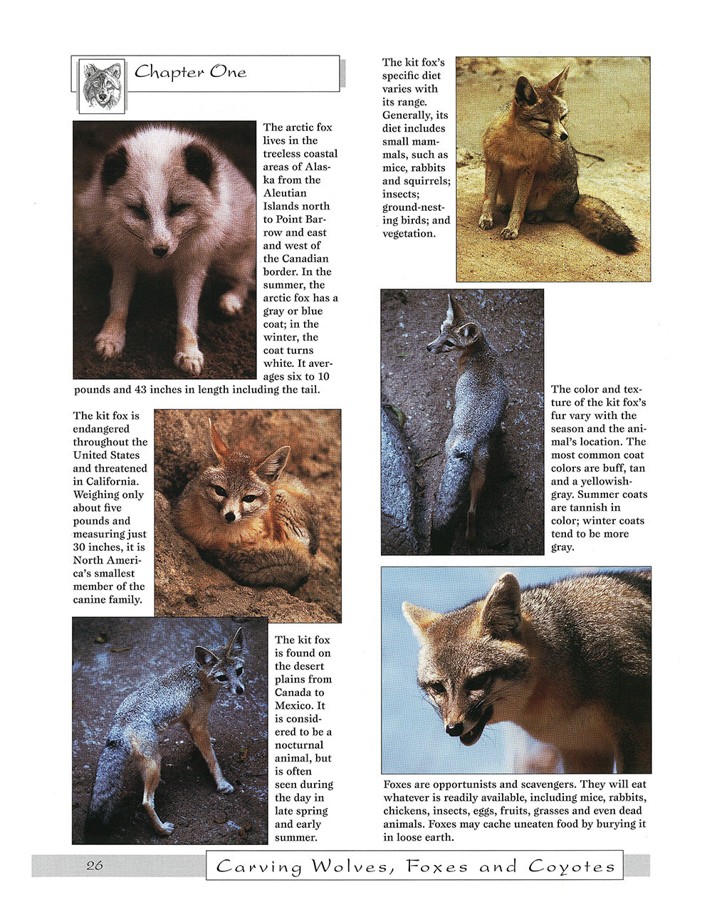 Carving Wolves, Foxes & Coyotes - Fox Chapel Publishing Co.