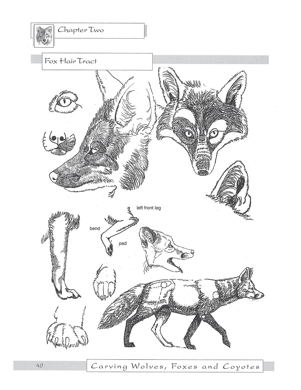 Carving Wolves, Foxes & Coyotes - Fox Chapel Publishing Co.