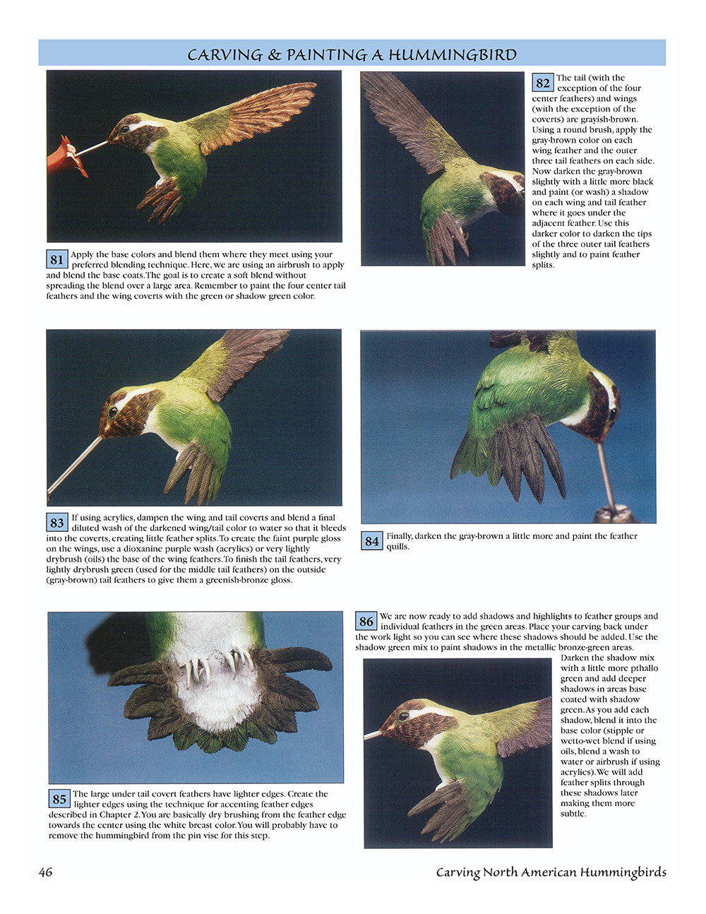 Carving North American Hummingbirds & Their Habitat