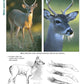 Deer: The Ultimate Artist's Reference