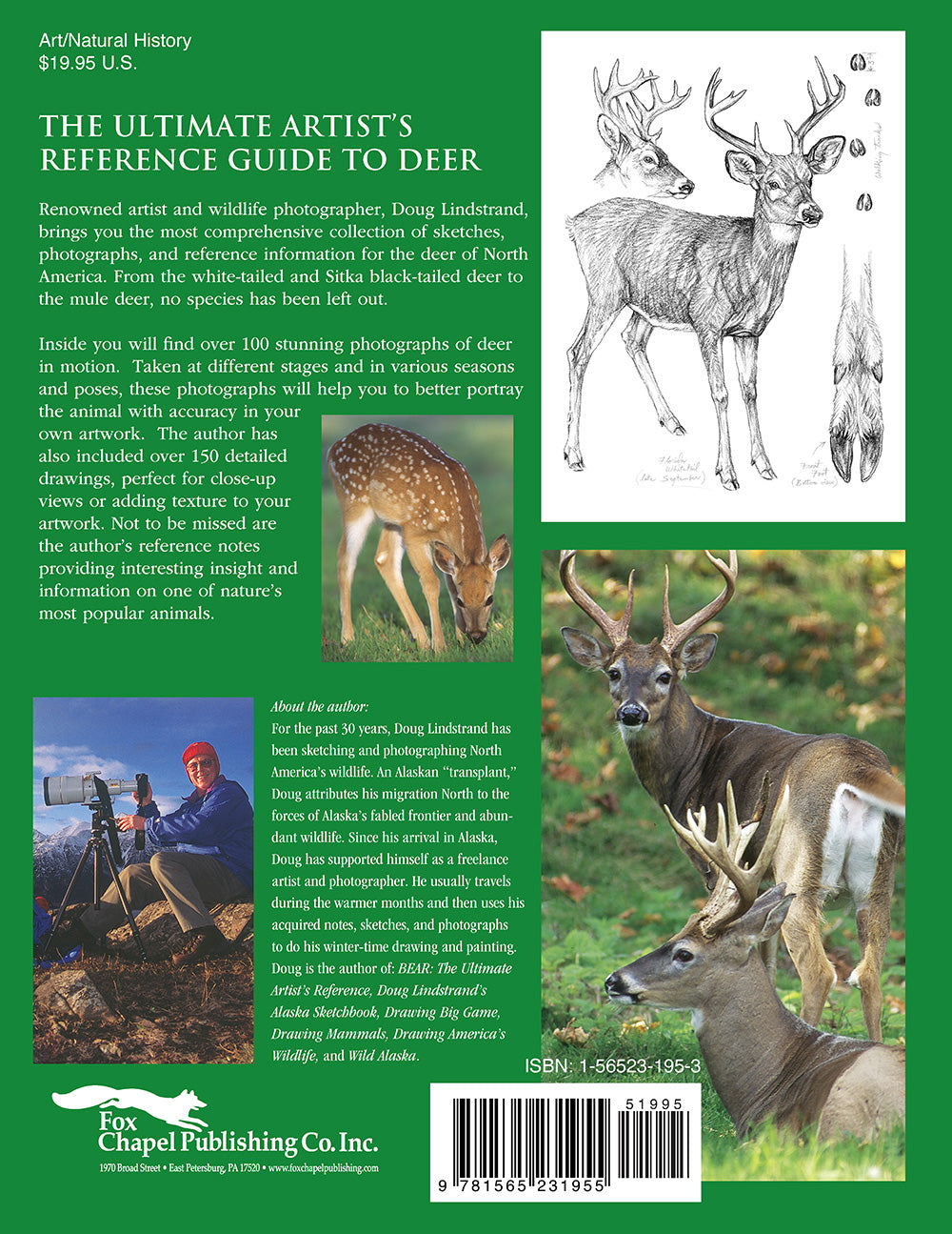 Deer Reference Image Deer: The Ultimate Artist's Reference – Fox Chapel Publishing Co.