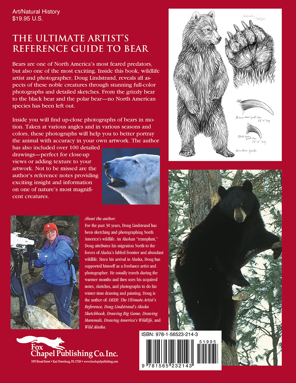 Bear Hand Reference Bear: The Ultimate Artist's Reference