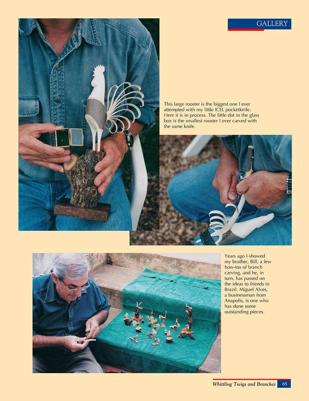 Whittling Twigs & Branches - 2nd Edition - Fox Chapel Publishing Co.