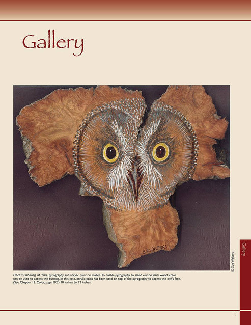 Pyrography Workbook – Fox Chapel Publishing Co.