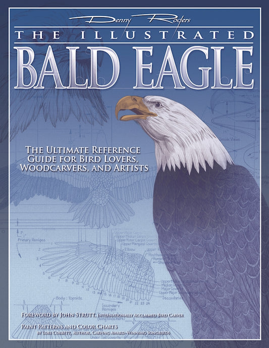 Illustrated Bald Eagle