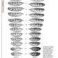 Illustrated Owl: Barn, Barred & Great Horned