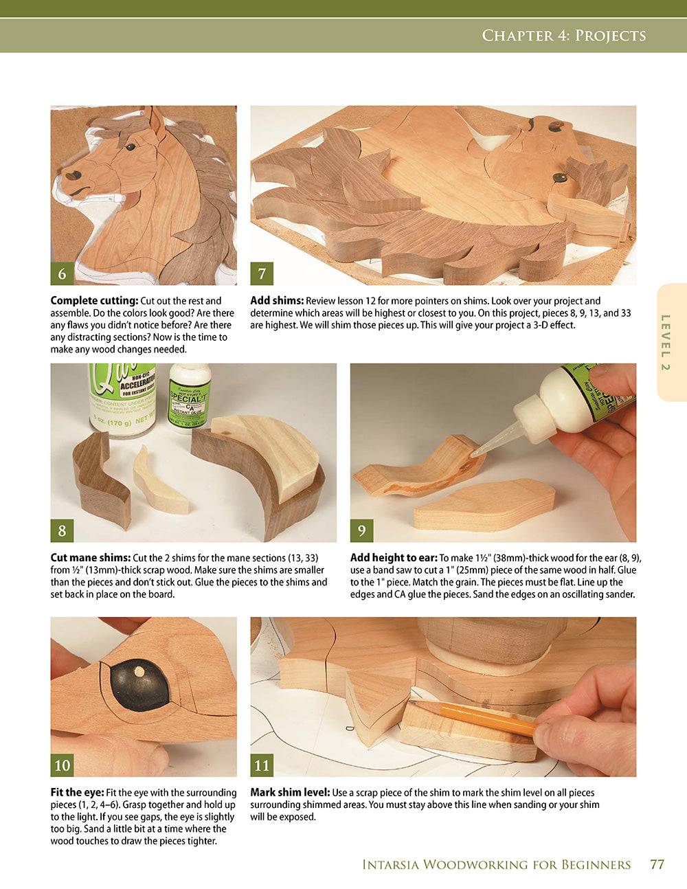 Intarsia Woodworking for Beginners - Fox Chapel Publishing Co.