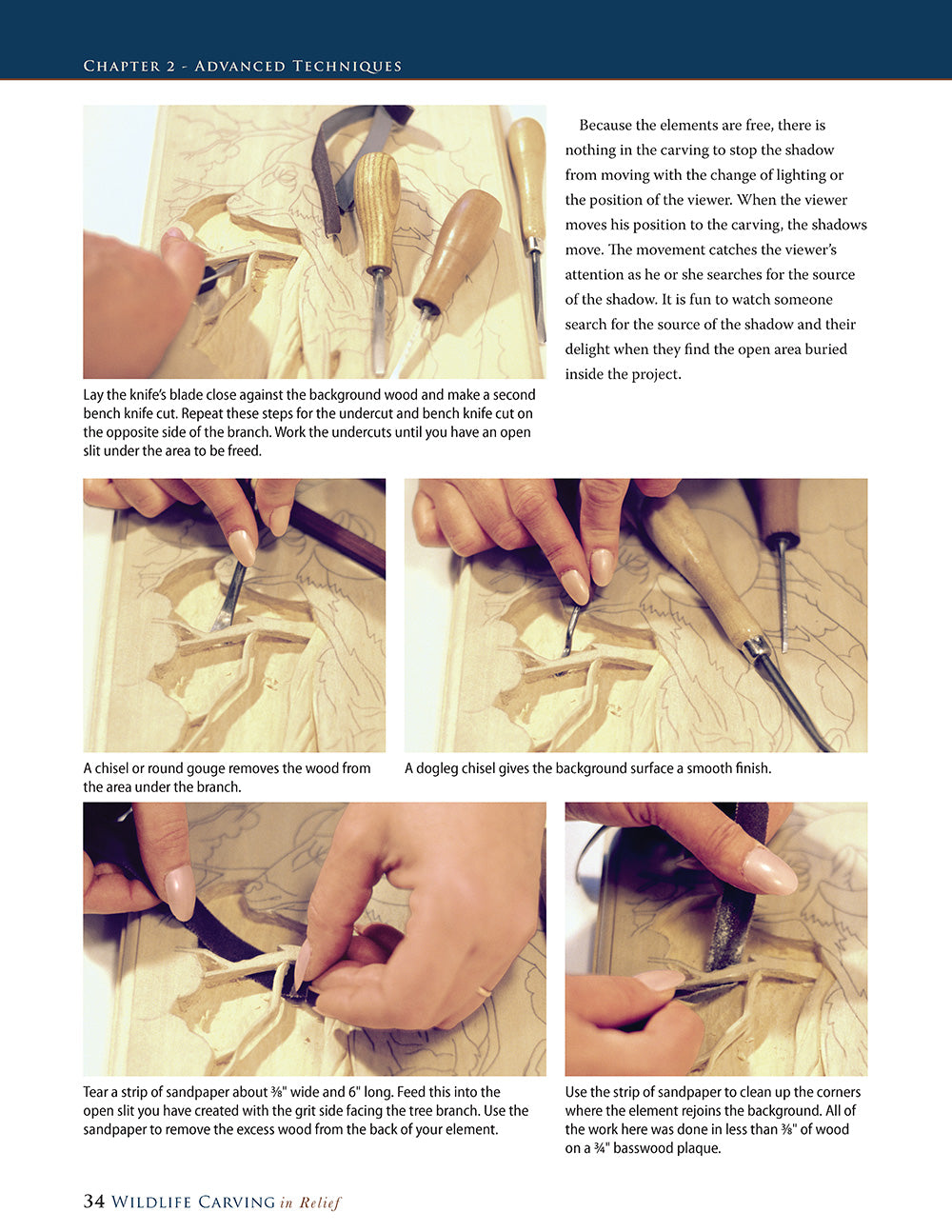 Wildlife Carving in Relief, Second Edition Revised and Expanded - Fox Chapel Publishing Co.