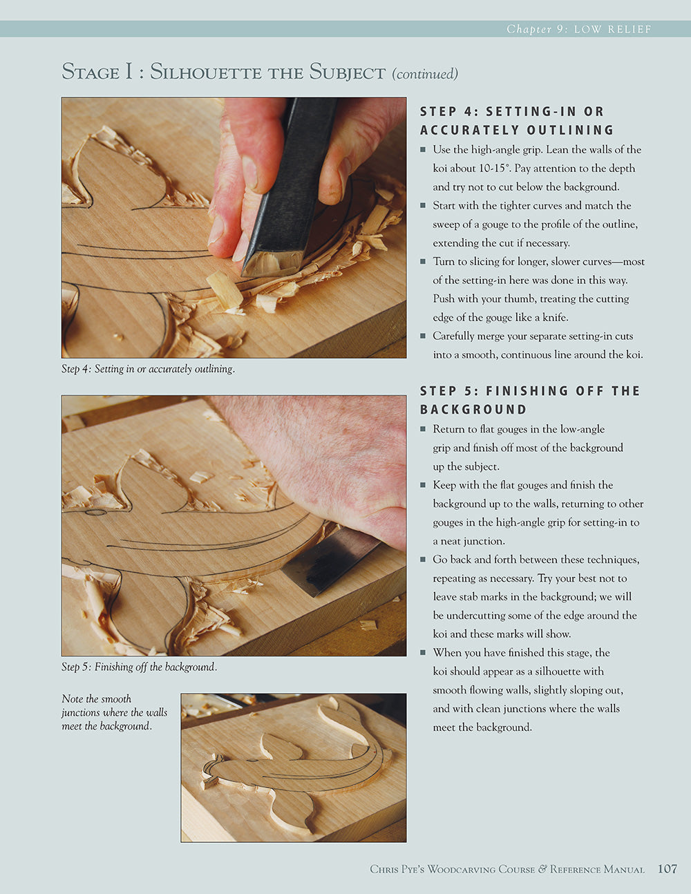 Chris Pye's Woodcarving Course & Reference Manual