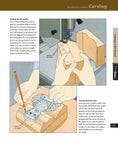 Woodworker's Guide to Carving (Back to Basics) – Fox Chapel Publishing Co.