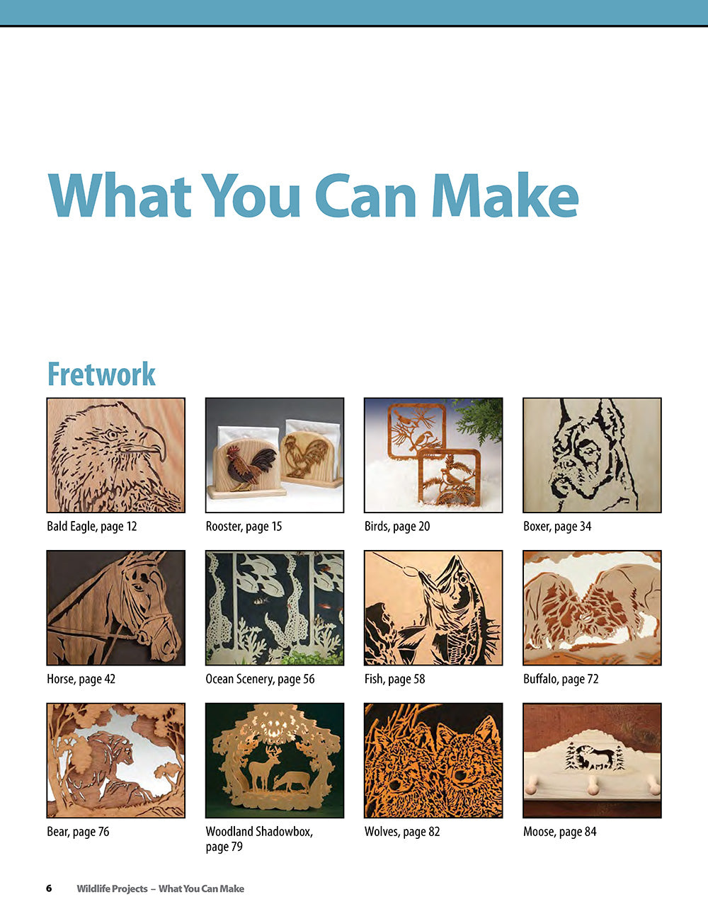 Wildlife Projects - Fox Chapel Publishing Co.