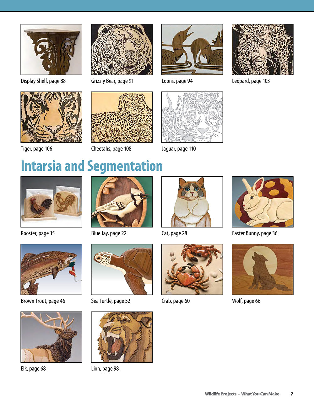 Wildlife Projects - Fox Chapel Publishing Co.