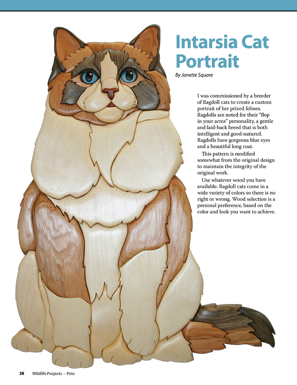 Wildlife Projects - Fox Chapel Publishing Co.