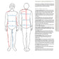 Illustrated Guide to Sewing: Tailoring