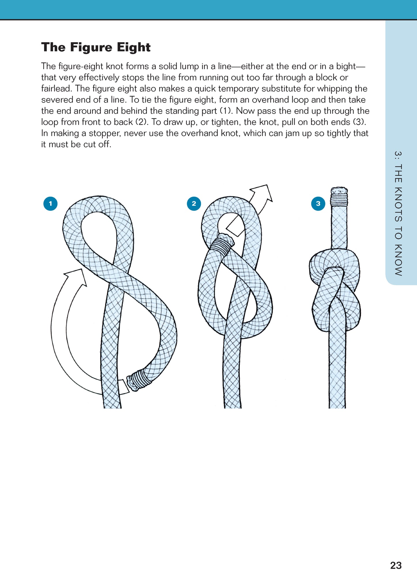 Knots You Need to Know