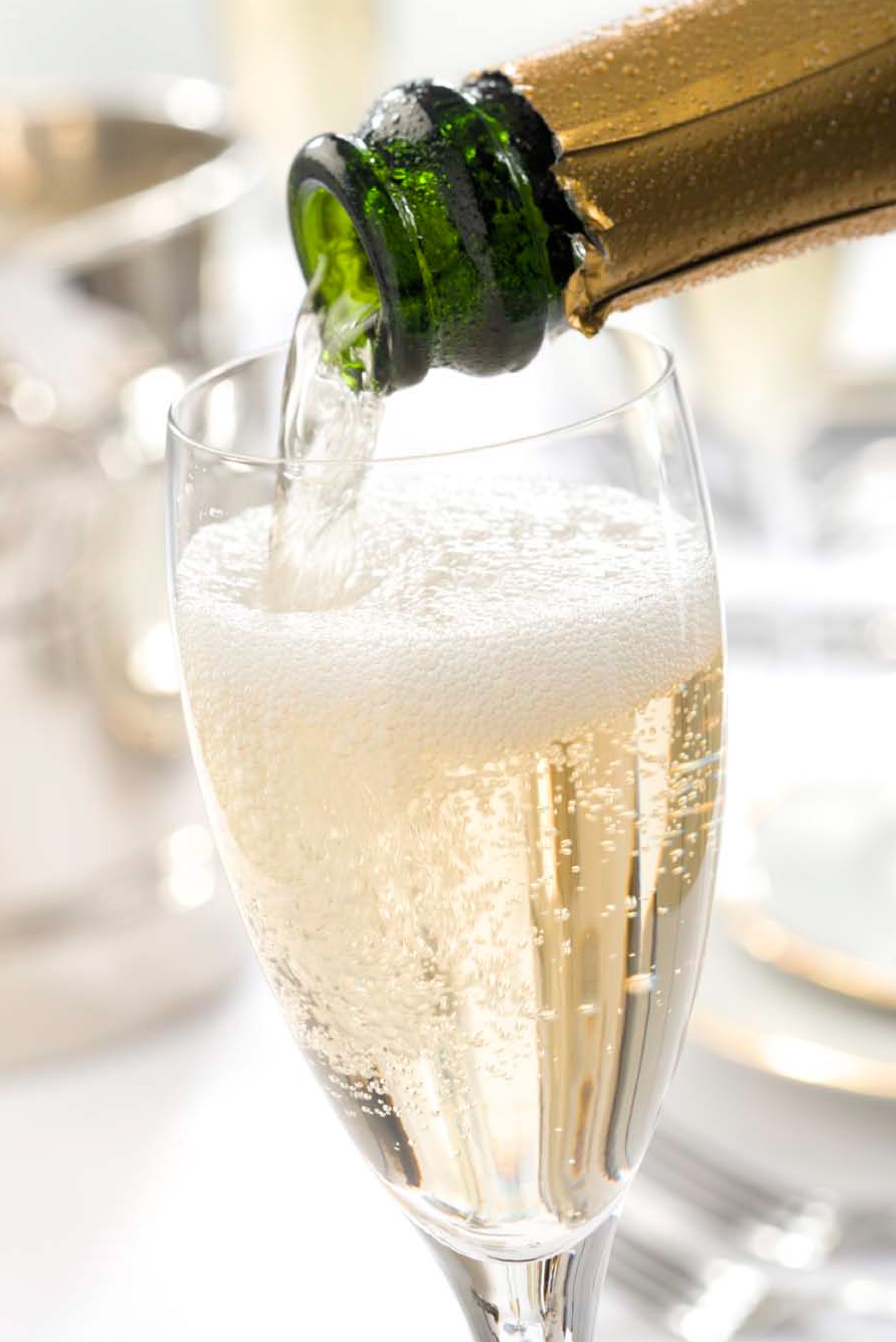 Making Sparkling Wines at Home - Fox Chapel Publishing Co.