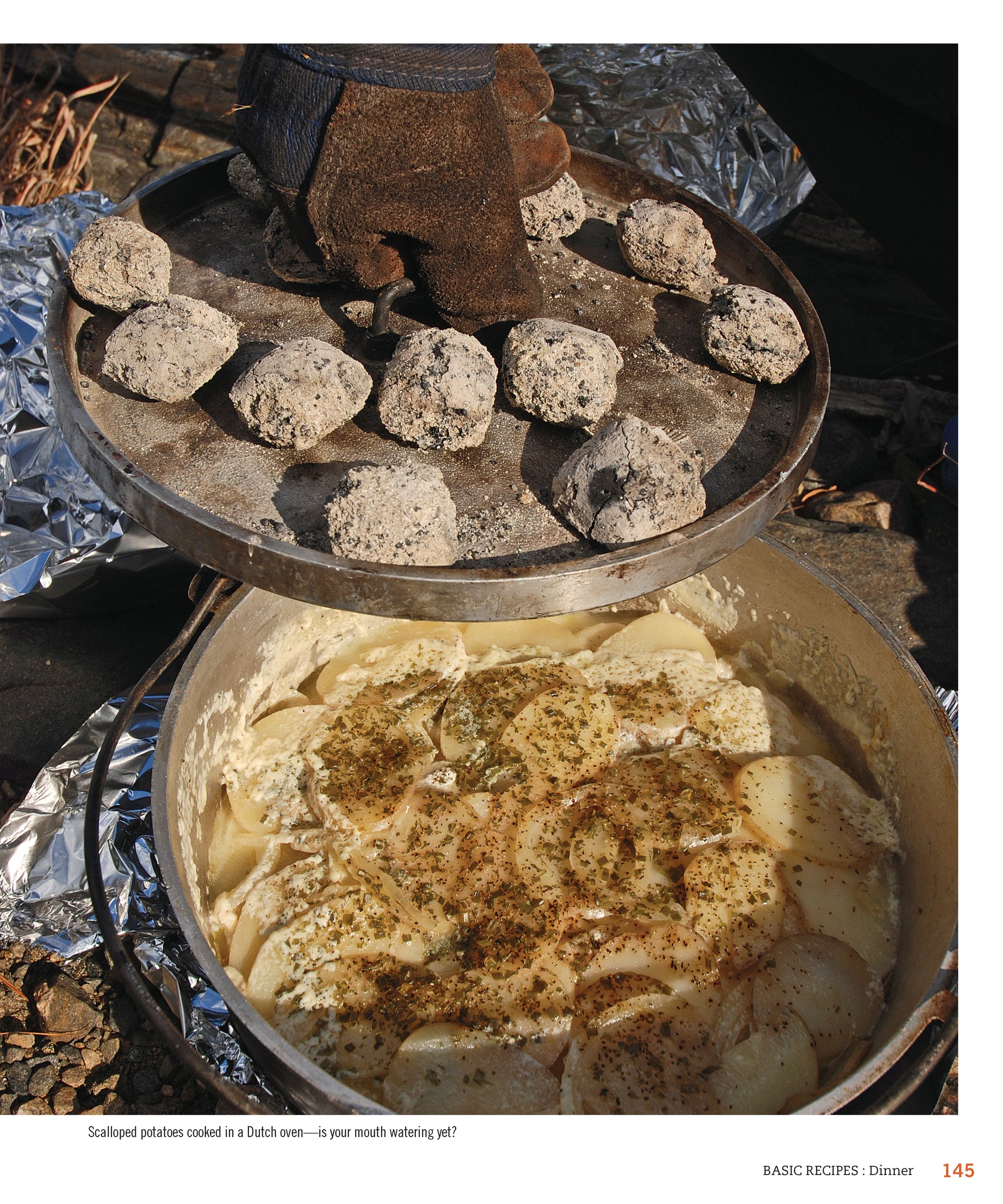 Camp Cooking in the Wild - Fox Chapel Publishing Co.