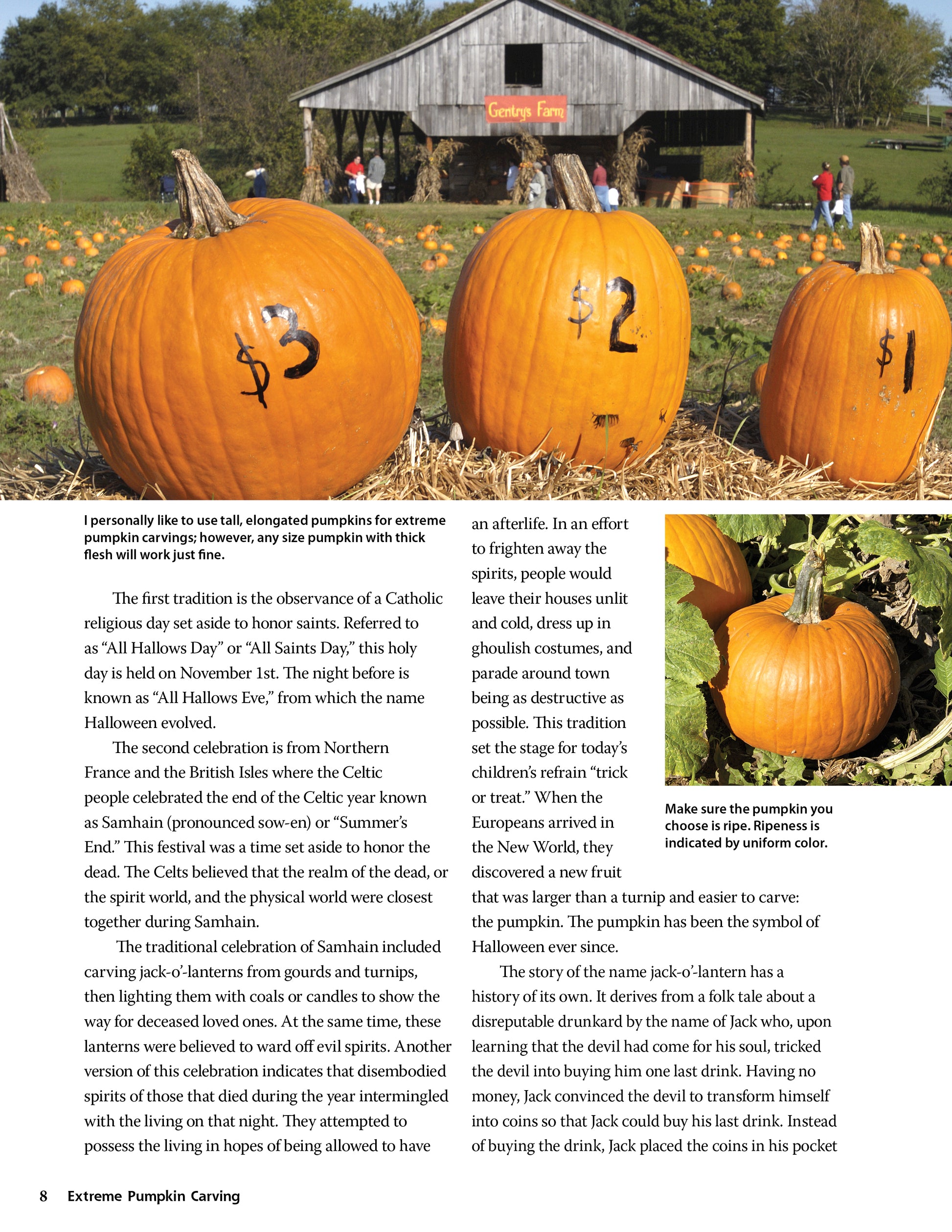 Extreme Pumpkin Carving, Second Edition Revised and Expanded - Fox Chapel Publishing Co.