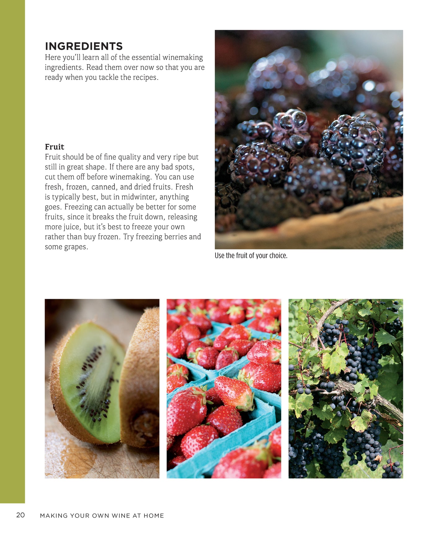 Making Your Own Wine at Home