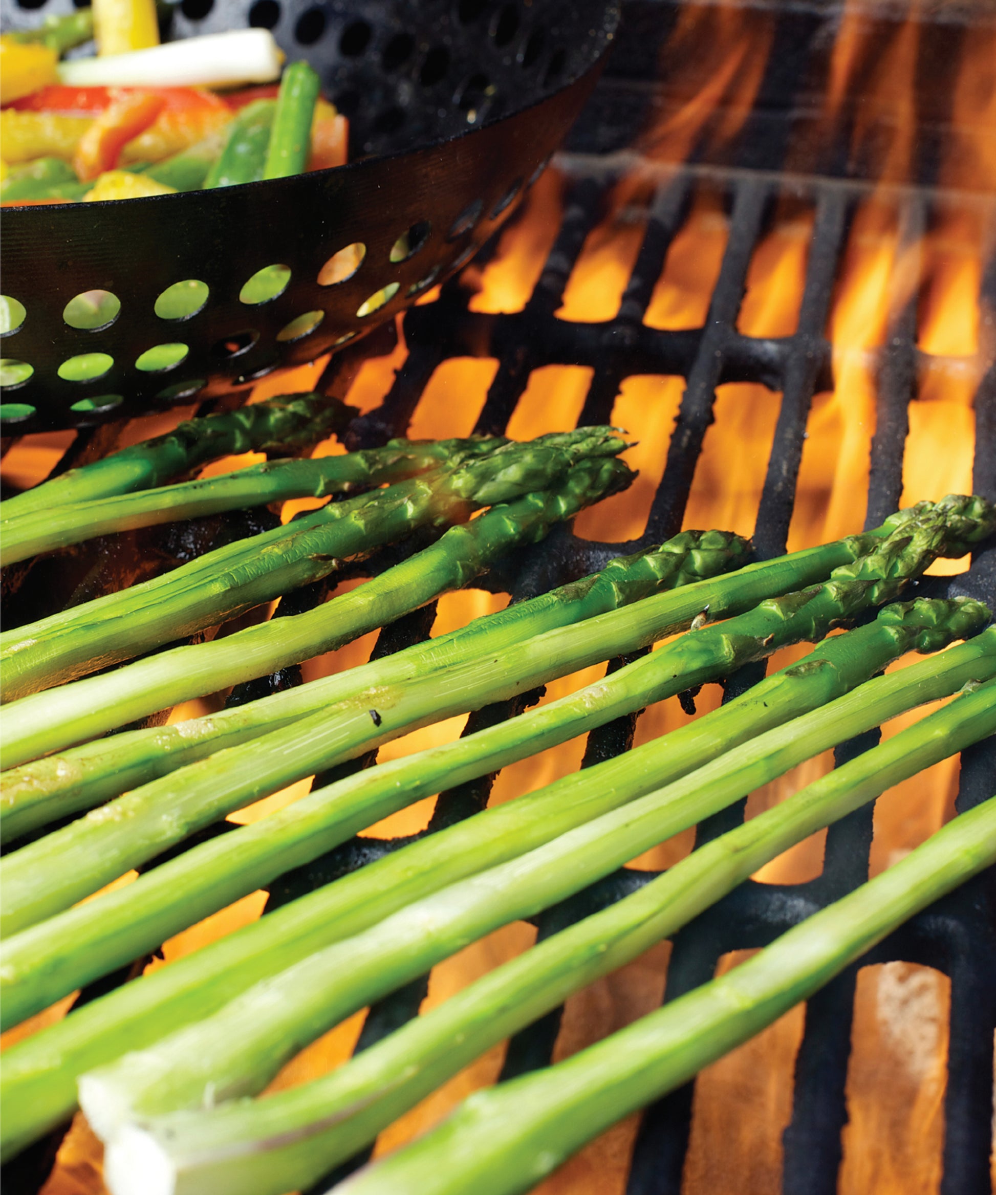Outdoor Chef - Fox Chapel Publishing Co.