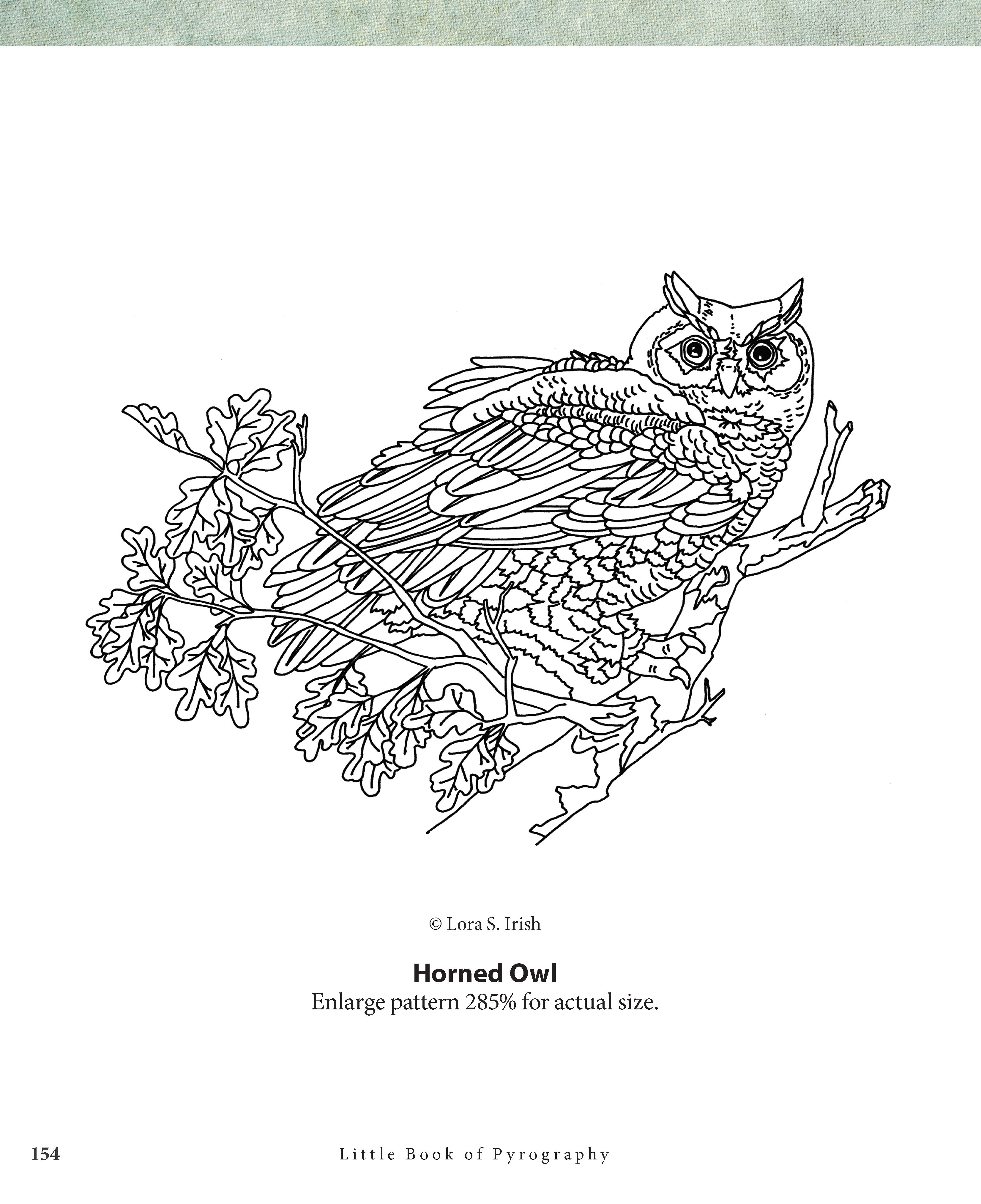 Little Book of Pyrography – Fox Chapel Publishing Co.