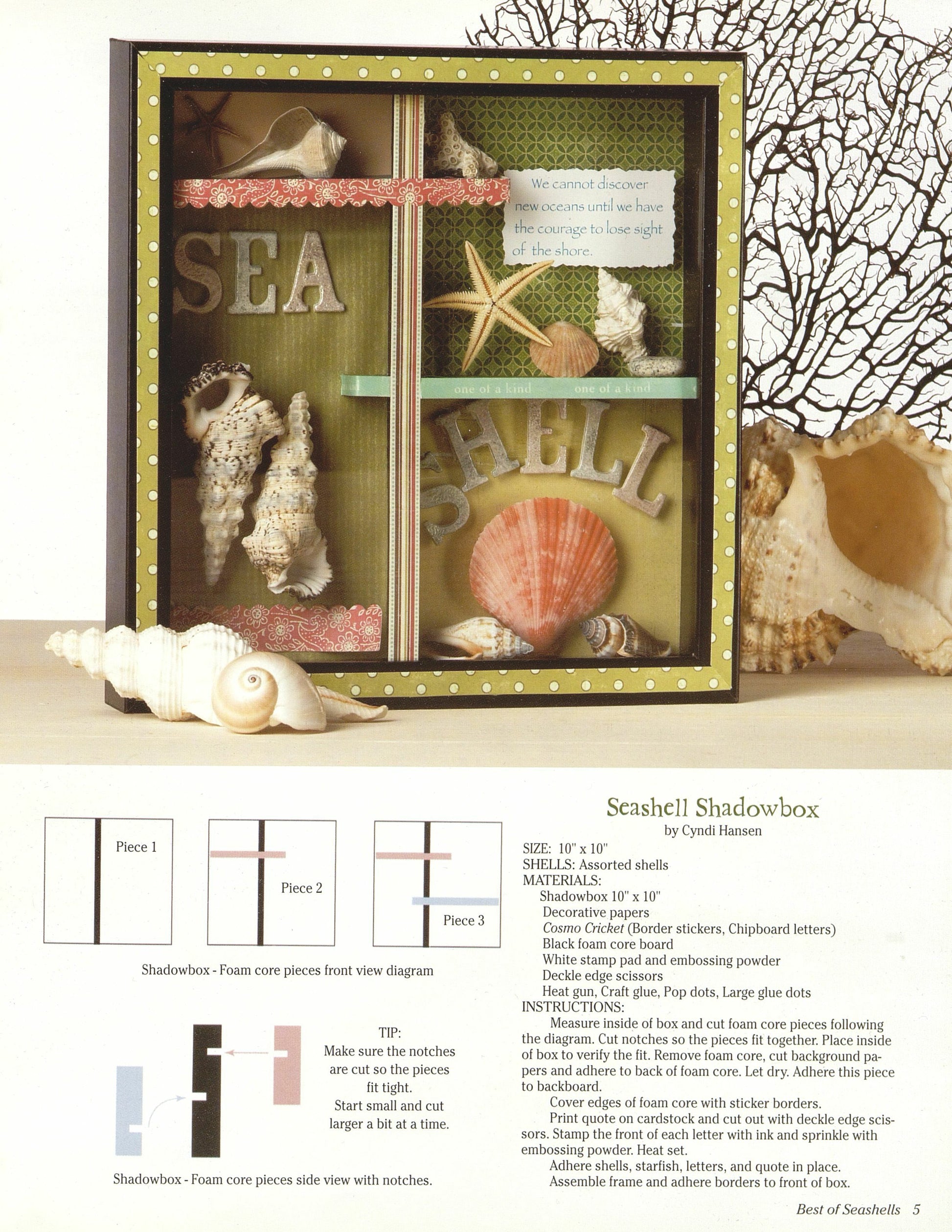 Best Of Seashells - Fox Chapel Publishing Co.