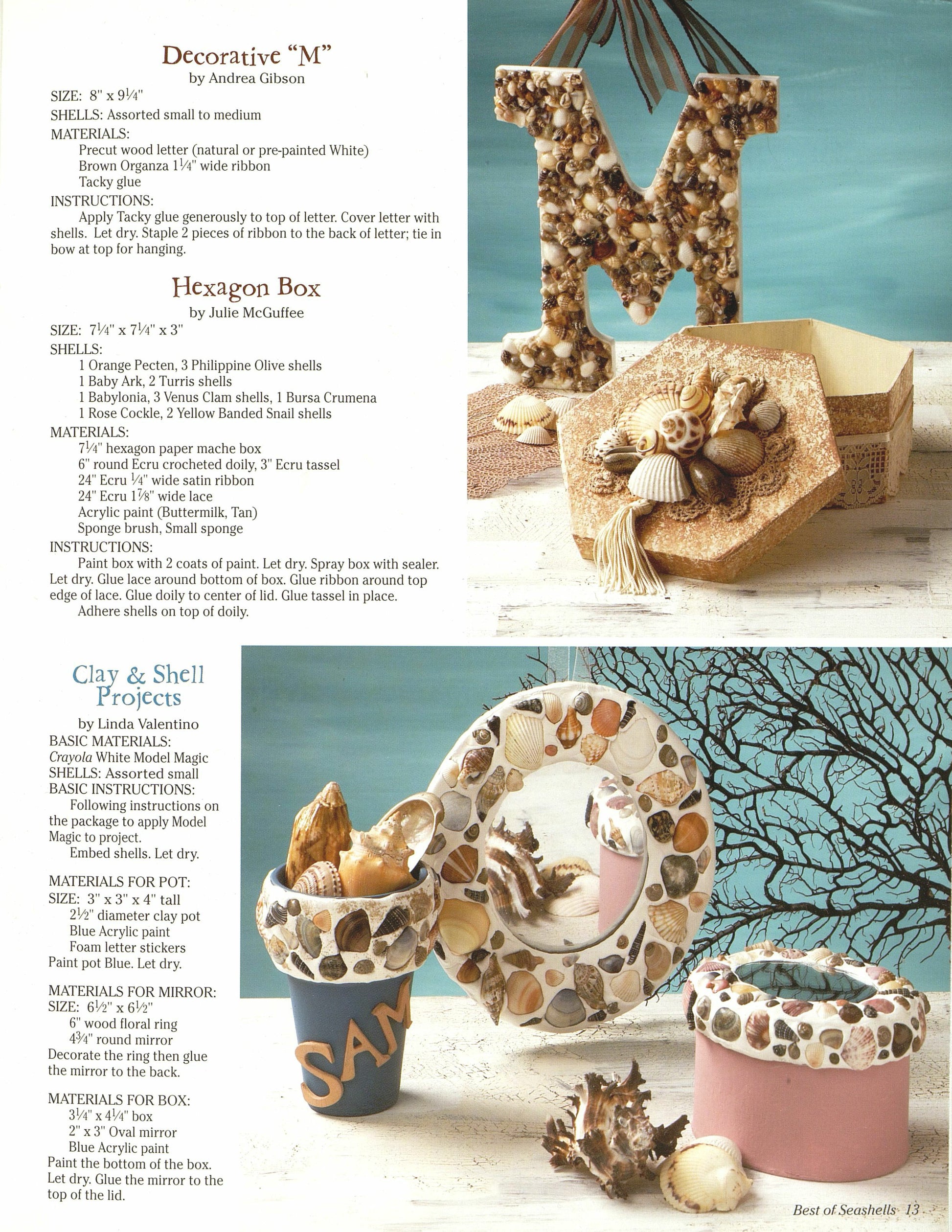 Best Of Seashells - Fox Chapel Publishing Co.