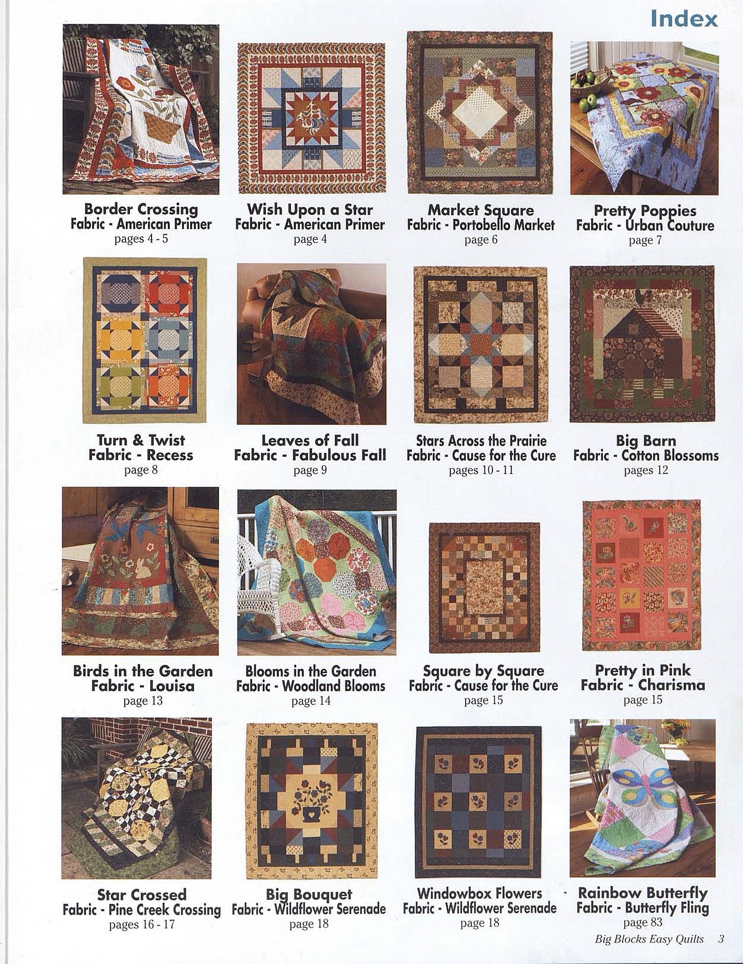 Big Blocks Easy Quilts - Fox Chapel Publishing Co.