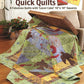 Big Blocks Quick Quilts - Fox Chapel Publishing Co.