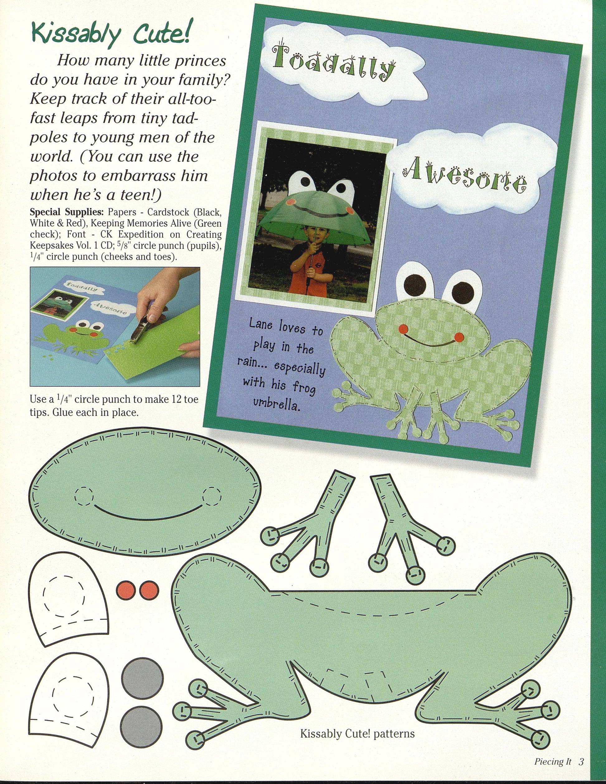 Piecing It!: The Scrap Happy Guide to Paper Piecing Patterns - Fox Chapel Publishing Co.