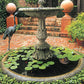 DIY Guide to Ponds, Fountains, Rain Gardens & Water Features, Revised Edition