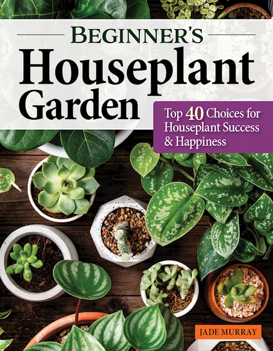 Beginner's Houseplant Garden