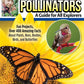 World of Pollinators: A Guide for Explorers of All Ages