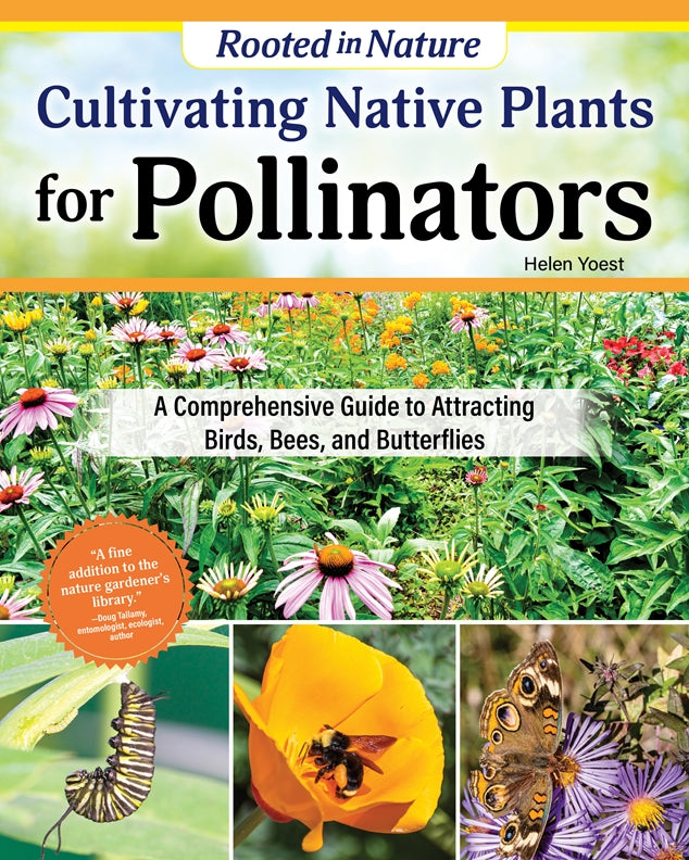 Cultivating Native Plants for Pollinators