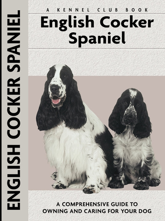 English Cocker Spaniel