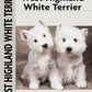 West Highland White Terrier