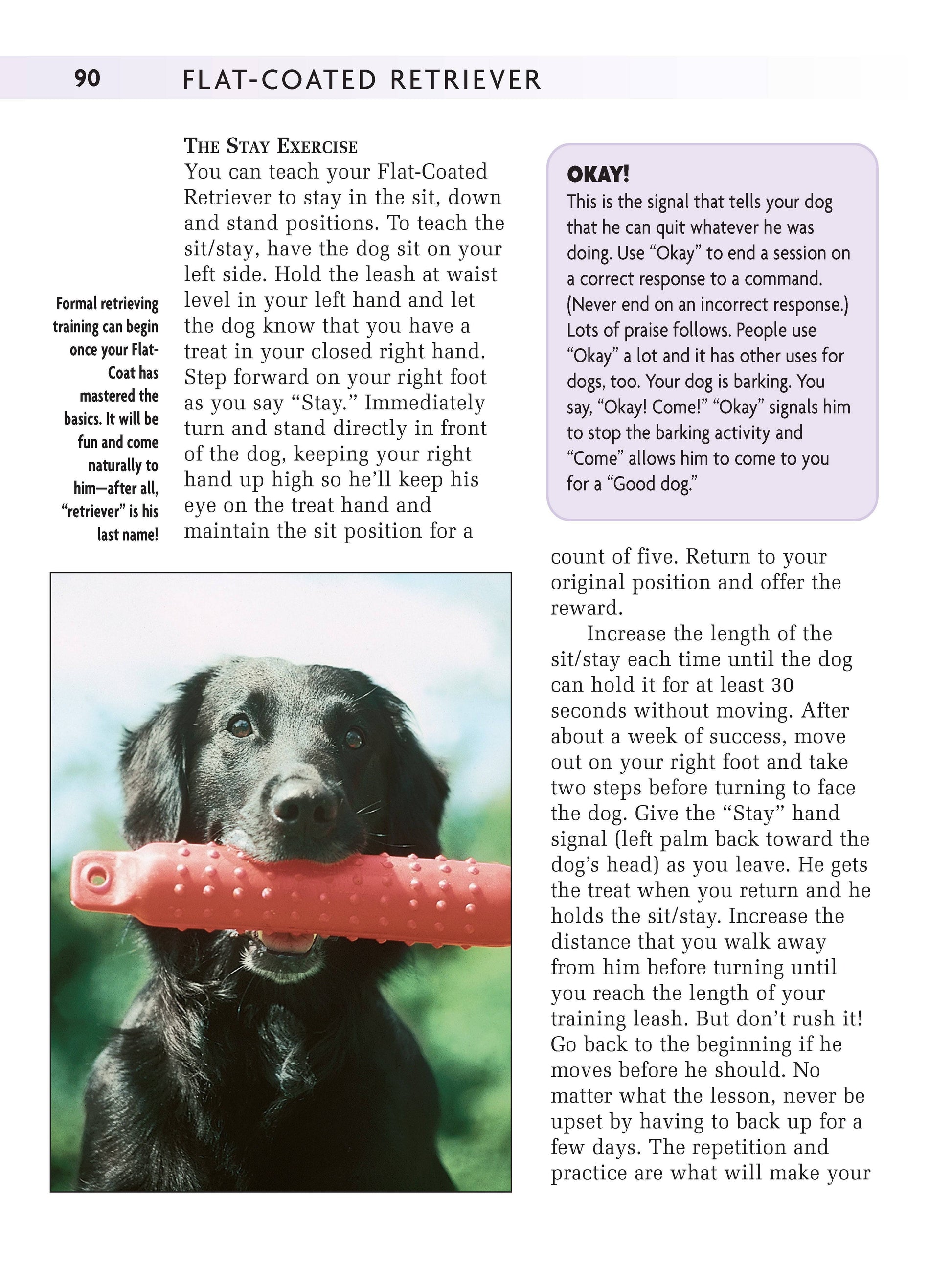 Flat-Coated Retriever - Fox Chapel Publishing Co.