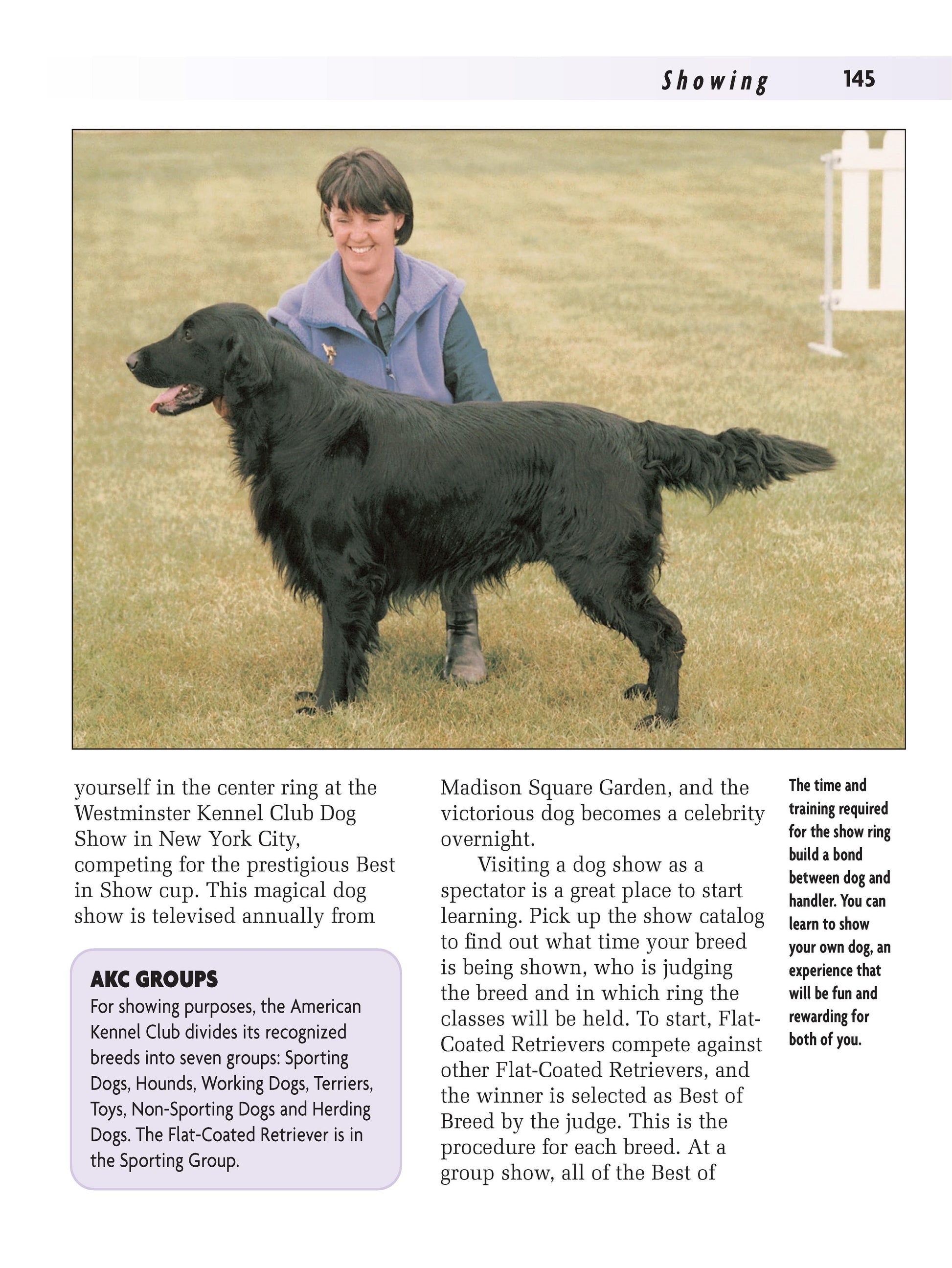 Flat-Coated Retriever - Fox Chapel Publishing Co.