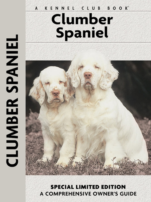 Clumber Spaniel